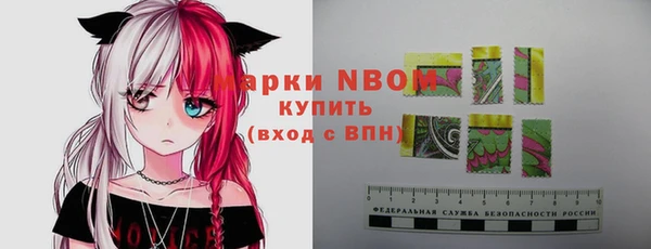 хмурый Корсаков