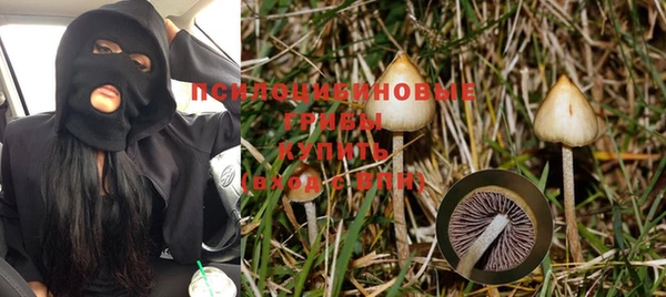 PSILOCYBIN Коряжма