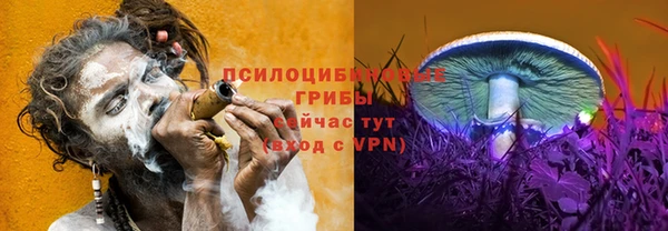ECSTASY Костерёво
