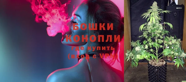 хмурый Корсаков