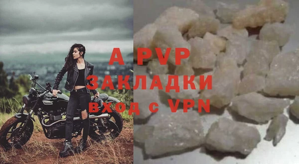 хмурый Корсаков