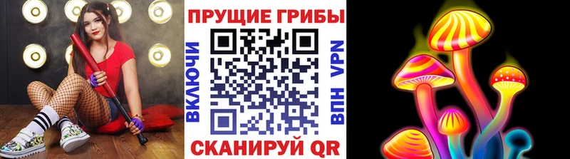 Купить закладки  Советск  Псилоцибиновые грибы MAGIC MUSHROOMS 
